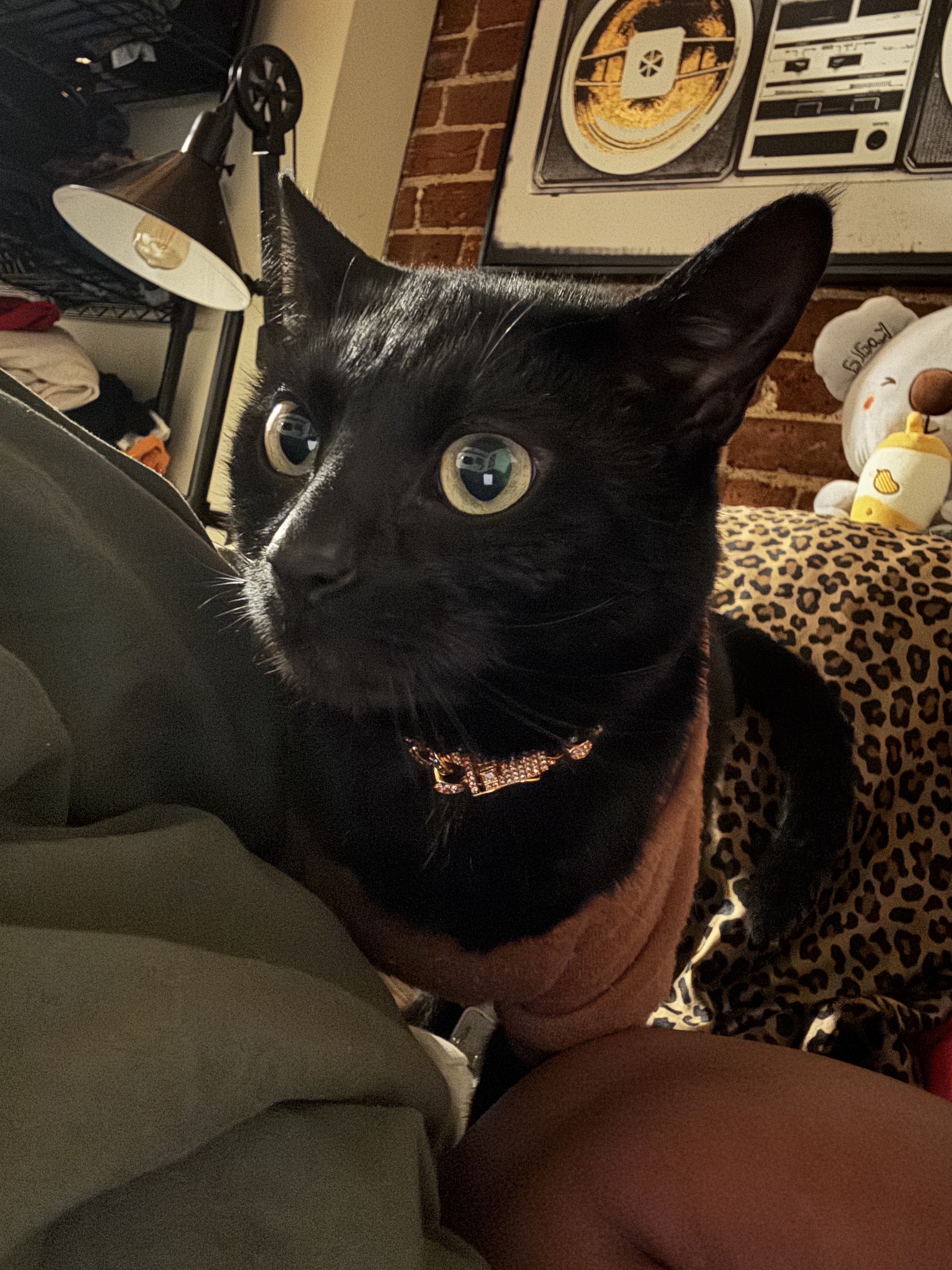 Mowgli