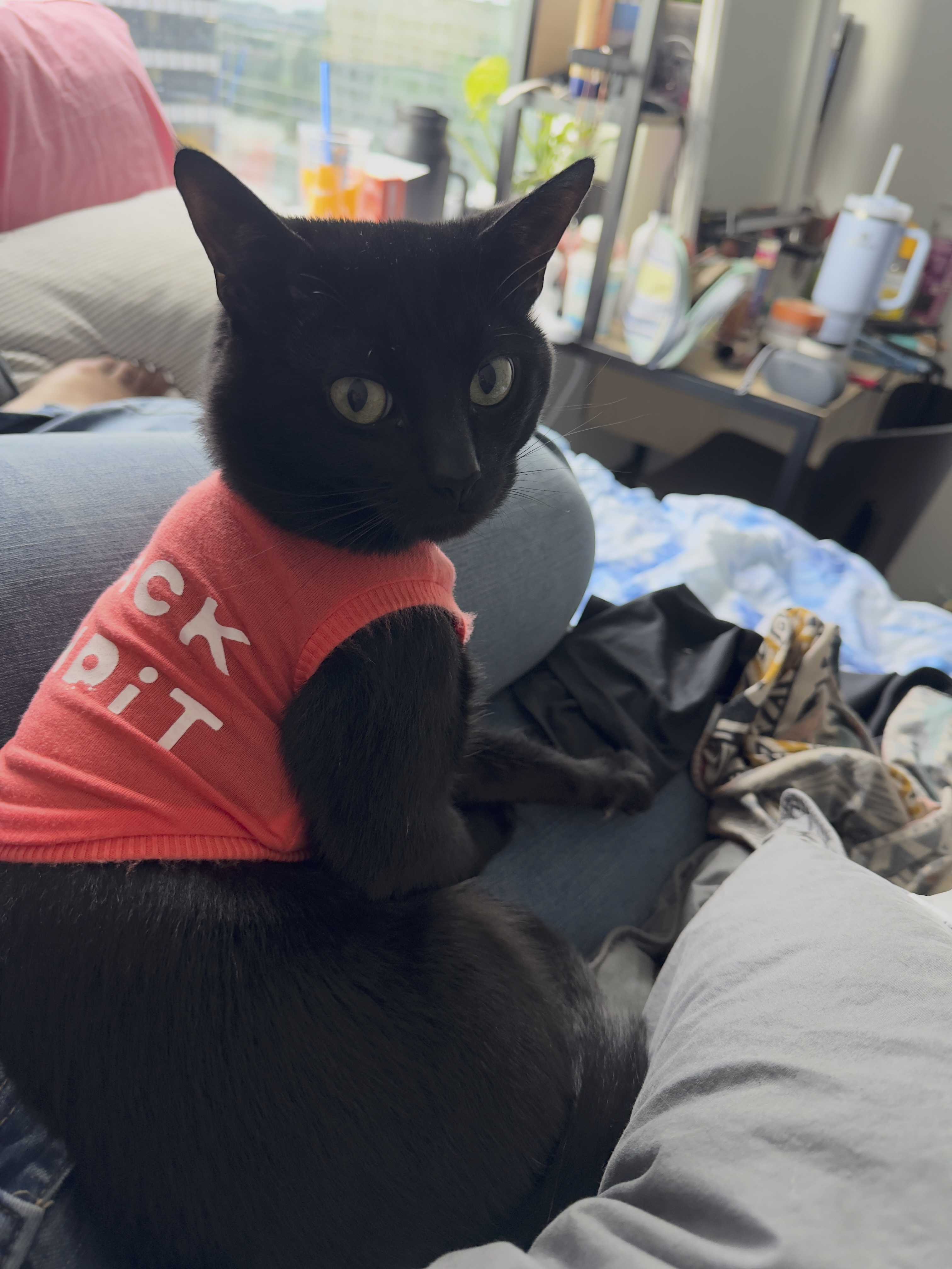 Mowgli