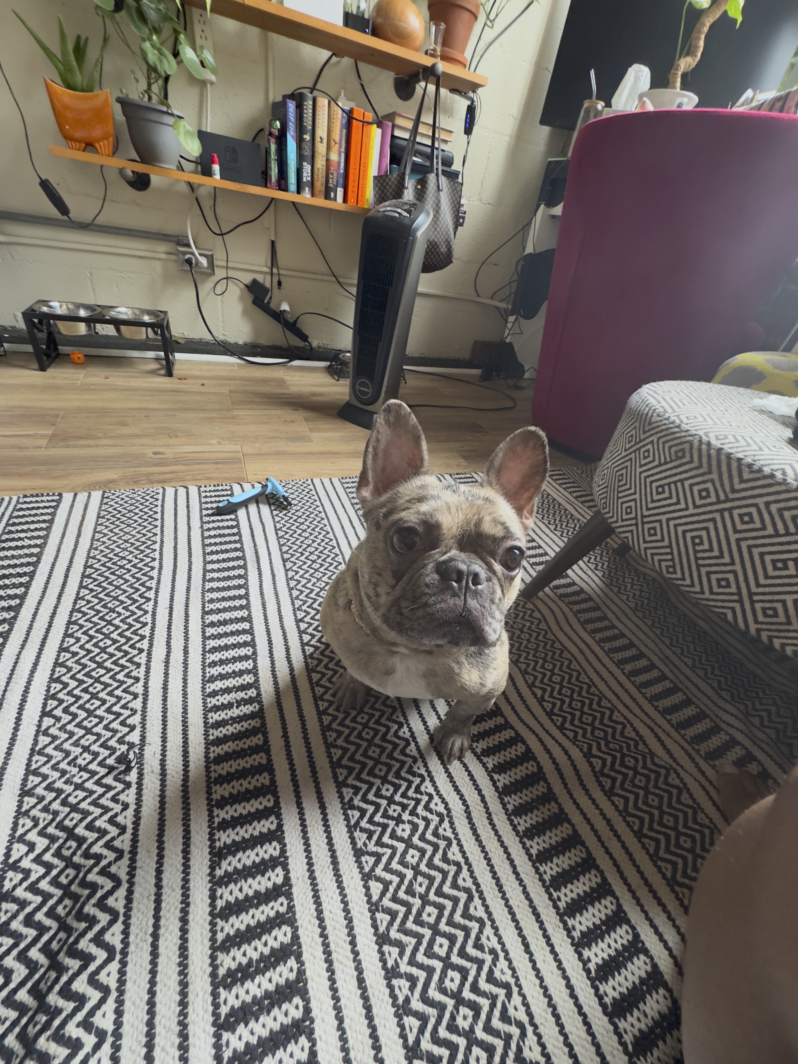 Zoey