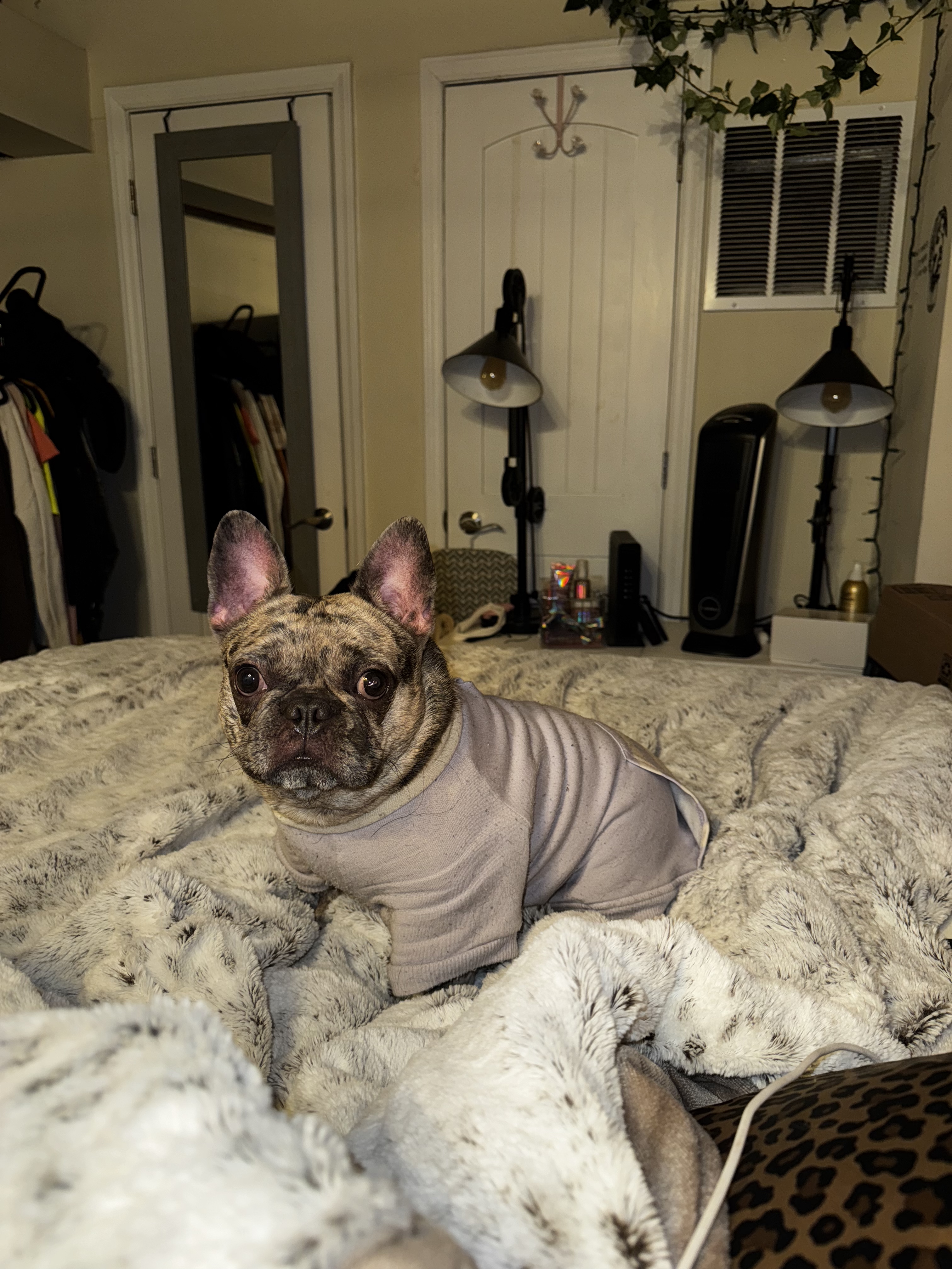 Zoey