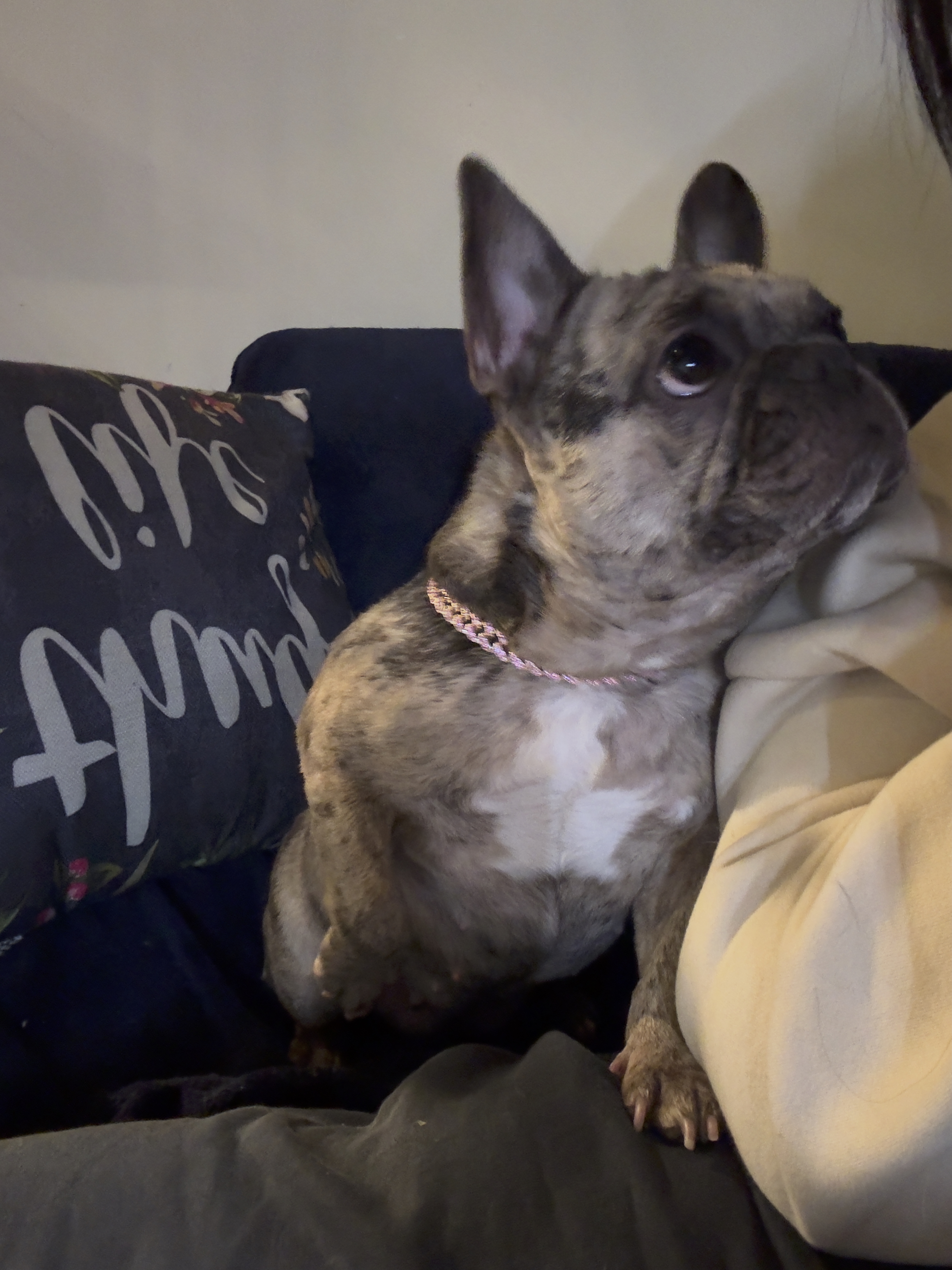 Zoey